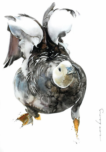 Fluttering Wings by Soo Beng Lim, Drawing for Sale on Singulart