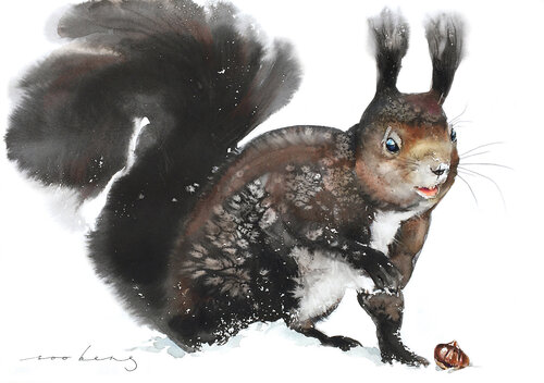 Nuts about Squirrel by Soo Beng Lim, Drawing for Sale on Singulart
