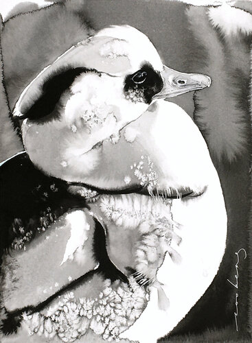Smew Elegance par Soo Beng Lim, Dessin en vente sur Singulart
