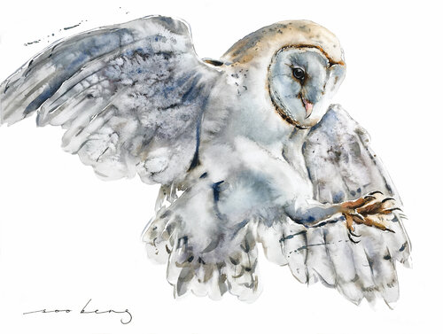 White Owl (SOLD) par Soo Beng Lim, Dessin en vente sur Singulart
