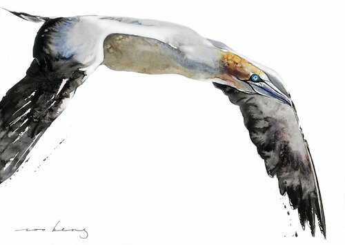 Gannet of the Skies by Soo Beng Lim, Drawing for Sale on Singulart