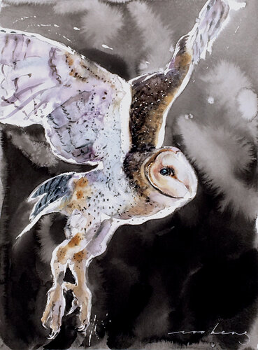 Owlie Flight3 by Soo Beng Lim, Drawing for Sale on Singulart