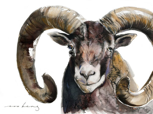 Mouflon Stud Soo Beng Lim