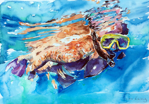 Snorkel Life par Soo Beng Lim, Dessin en vente sur Singulart