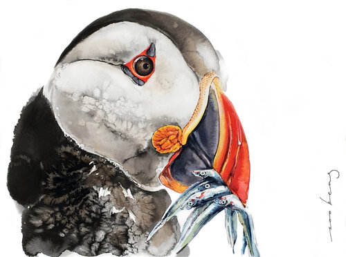 Puffin Feed by Soo Beng Lim, Drawing for Sale on Singulart