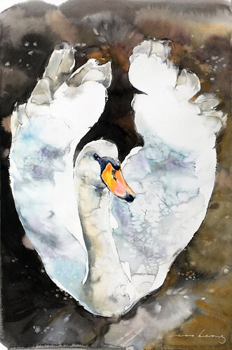 Swan Poise par Soo Beng Lim, Dessin en vente sur Singulart