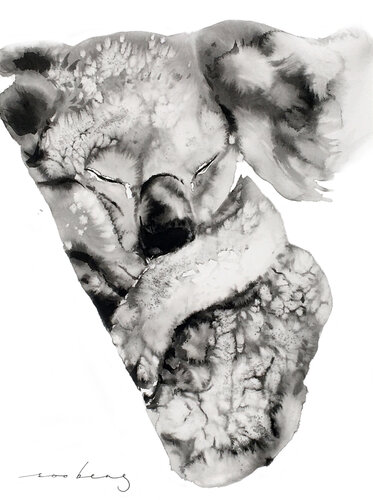 Koala Winks von Soo Beng Lim, Zeichnungen kaufen auf Singulart