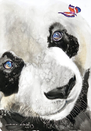 Captivated Panda by Soo Beng Lim, Drawing for Sale on Singulart