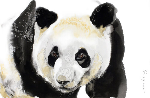 Panda Enchantment by Soo Beng Lim, Drawing for Sale on Singulart