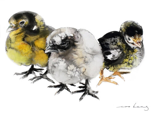 Chick Cuties Soo Beng Lim