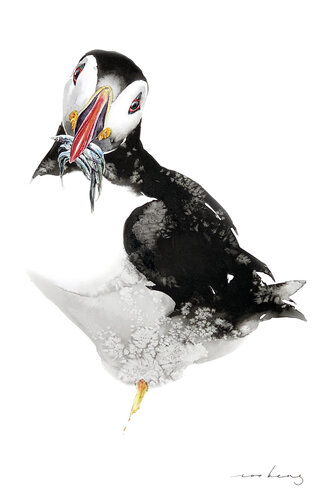 Puffin Pleasure by Soo Beng Lim, Drawing for Sale on Singulart