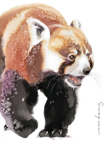 Bear Sense by Soo Beng Lim, Drawing for Sale on Singulart