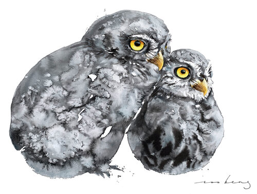 Chicky Owls Soo Beng Lim