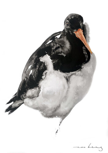 Oystercatcher par Soo Beng Lim, Dessin en vente sur Singulart