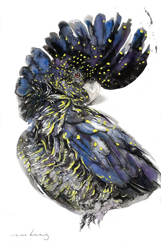 Australian Black Cockatoo2 (SOLD) par Soo Beng Lim, Dessin en vente sur Singulart