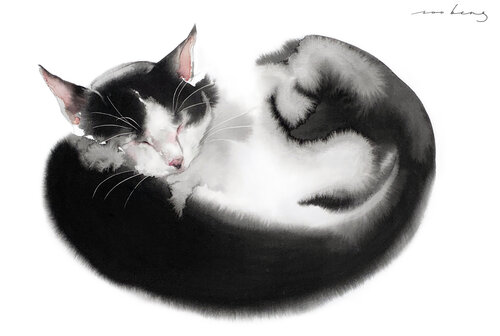 Dream Cat by Soo Beng Lim, Drawing for Sale on Singulart