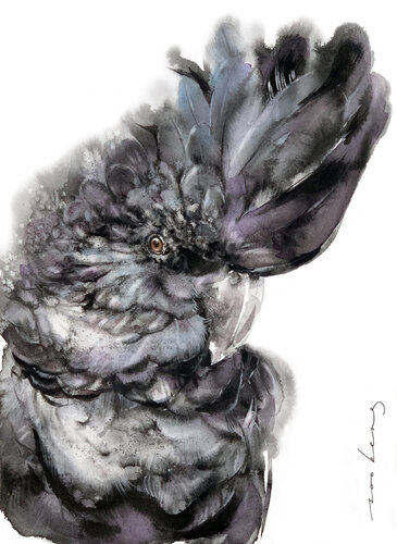 Cockatoo Crowning Glory par Soo Beng Lim, Dessin en vente sur Singulart