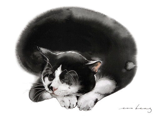 Cat Snooze par Soo Beng Lim, Dessin en vente sur Singulart