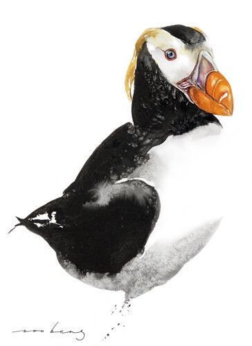 Young Puffin par Soo Beng Lim, Dessin en vente sur Singulart