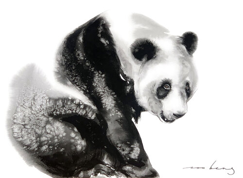 Panda Enchantment2 par Soo Beng Lim, Dessin en vente sur Singulart