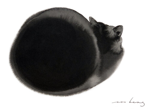 Siesta Cat par Soo Beng Lim, Dessin en vente sur Singulart