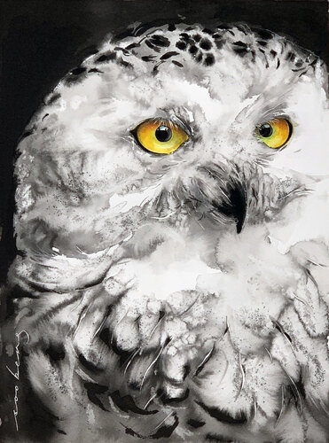 Lumi Owl par Soo Beng Lim, Dessin en vente sur Singulart