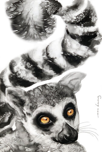 Lemur Persona par Soo Beng Lim, Dessin en vente sur Singulart