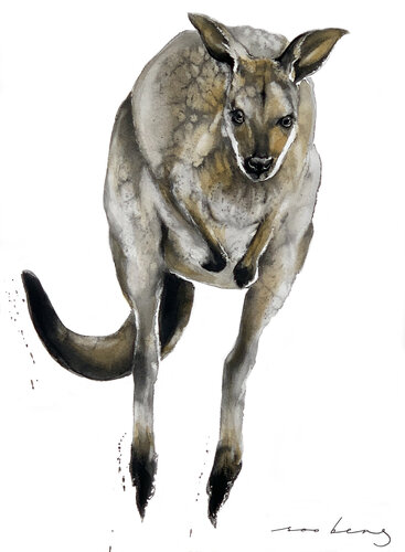 Australian Roo di Soo Beng Lim, Disegno in vendita su Singulart