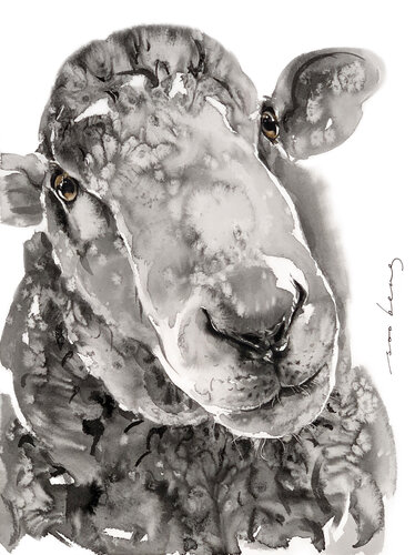 Lamb Gentility di Soo Beng Lim, Disegno in vendita su Singulart