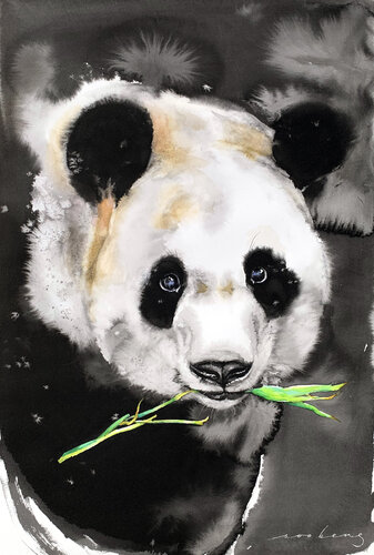 Munching Panda di Soo Beng Lim, Disegno in vendita su Singulart
