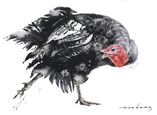 Turkey Delight Soo Beng Lim