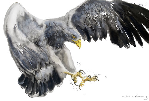Winged Power Soo Beng Lim