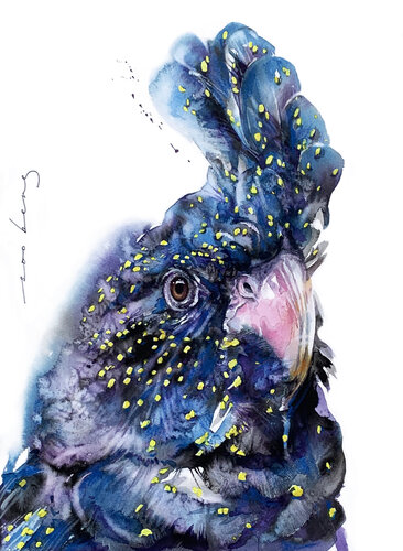 Cockatoo Crowning Glory2 par Soo Beng Lim, Dessin en vente sur Singulart