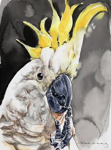 Cockatoo Flair di Soo Beng Lim, Disegno in vendita su Singulart