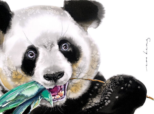 Beary Delicious! Soo Beng Lim