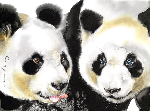 Panda Twins Soo Beng Lim