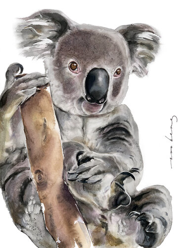Koala Cuddles by Soo Beng Lim, Drawing for Sale on Singulart