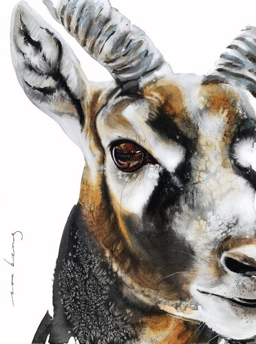 Antelope Instinct by Soo Beng Lim, Drawing for Sale on Singulart