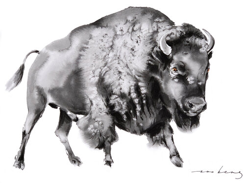 Noble Bison Soo Beng Lim