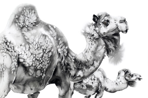 Desert Duo par Soo Beng Lim, Dessin en vente sur Singulart