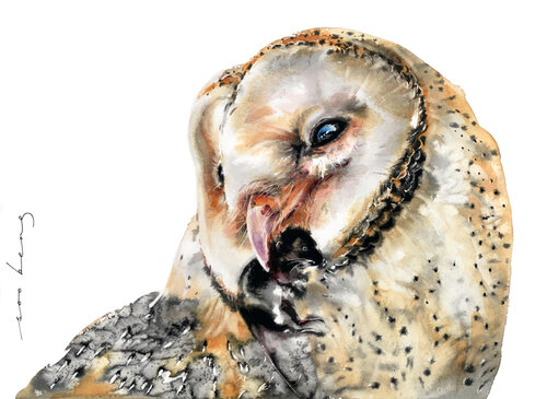 Twilight Owl by Soo Beng Lim, Drawing for Sale on Singulart