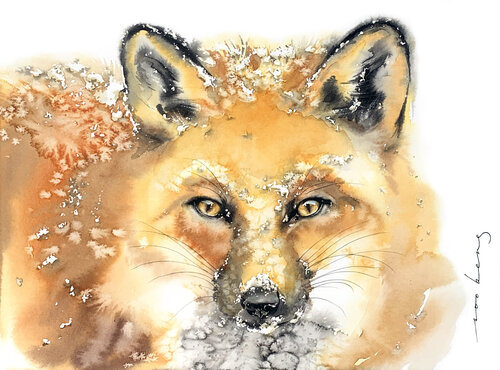 Cool Fox von Soo Beng Lim, Zeichnungen kaufen auf Singulart