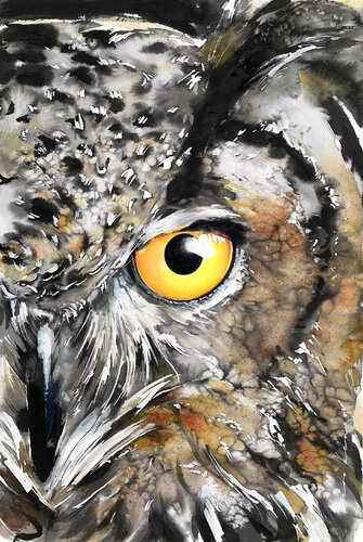 Owl Insight by Soo Beng Lim, Drawing for Sale on Singulart