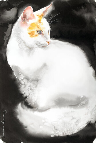 Pearly Whiskers by Soo Beng Lim, Drawing for Sale on Singulart