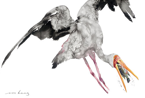 Aerial Hunter von Soo Beng Lim, Zeichnungen kaufen auf Singulart