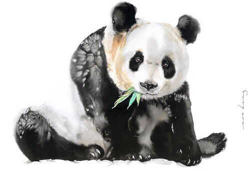 Munching Beary di Soo Beng Lim, Disegno in vendita su Singulart