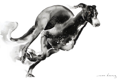 Sleek Elegance Soo Beng Lim