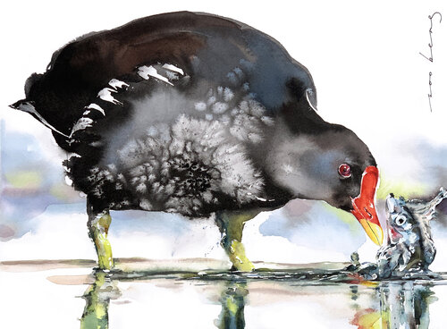 Marshland Grace van Soo Beng Lim, Tekening te koop op Singulart
