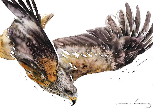 Aerial Predator by Soo Beng Lim, 소묘 for Sale on Singulart