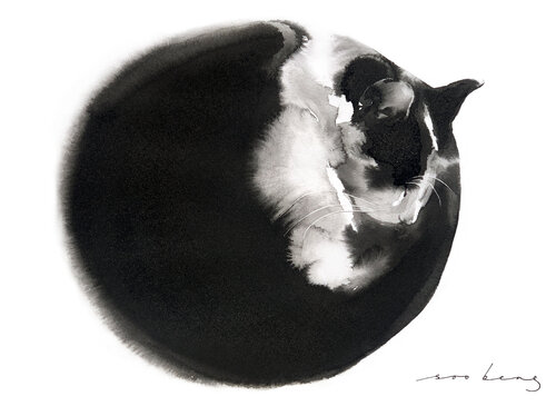 Purrfect Enso di Soo Beng Lim, Disegno in vendita su Singulart